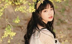 日本一大新区免费高清不卡